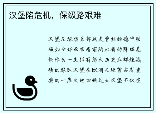 汉堡陷危机，保级路艰难